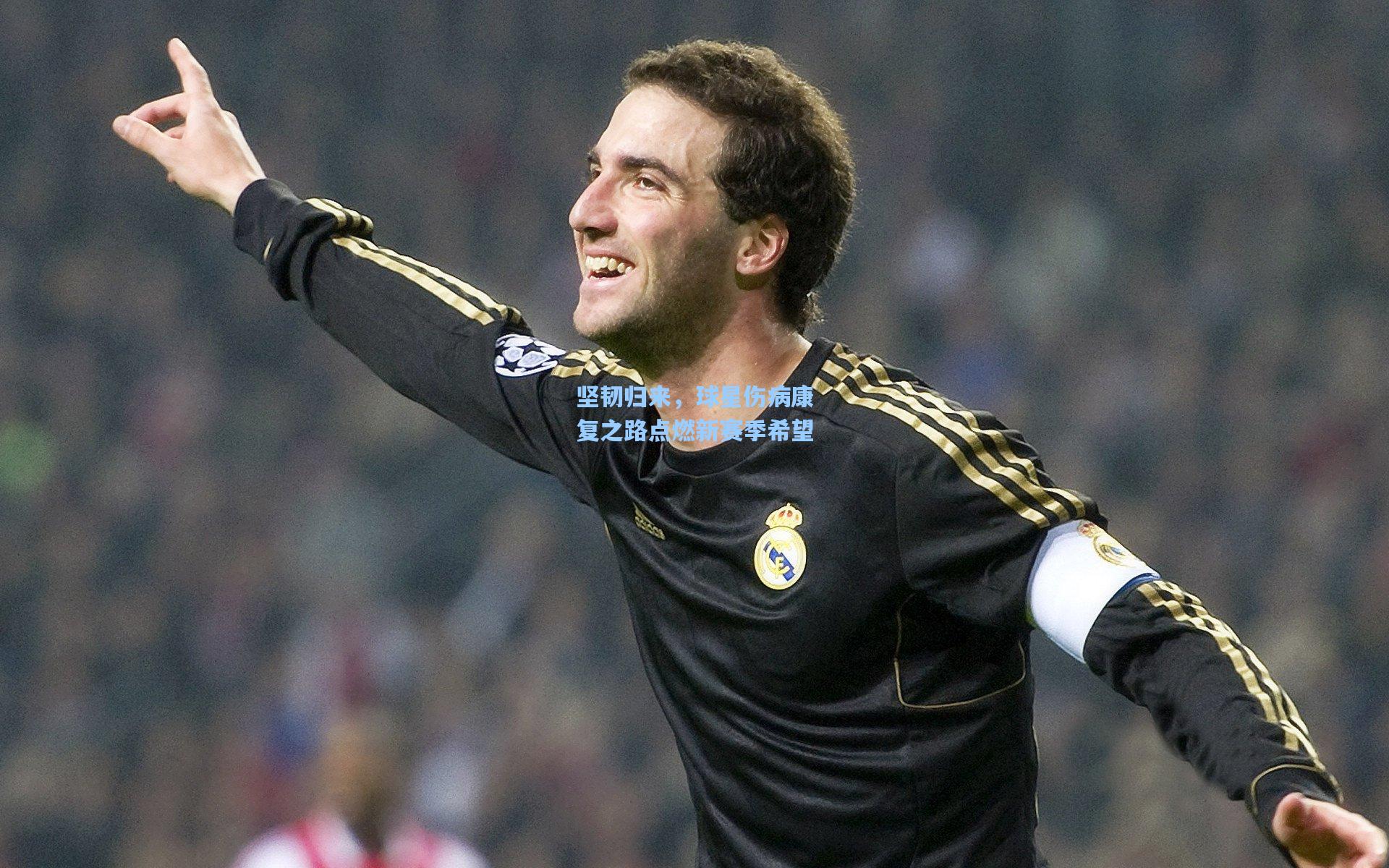 坚韧归来,球星伤病康复之路点燃新赛季希望