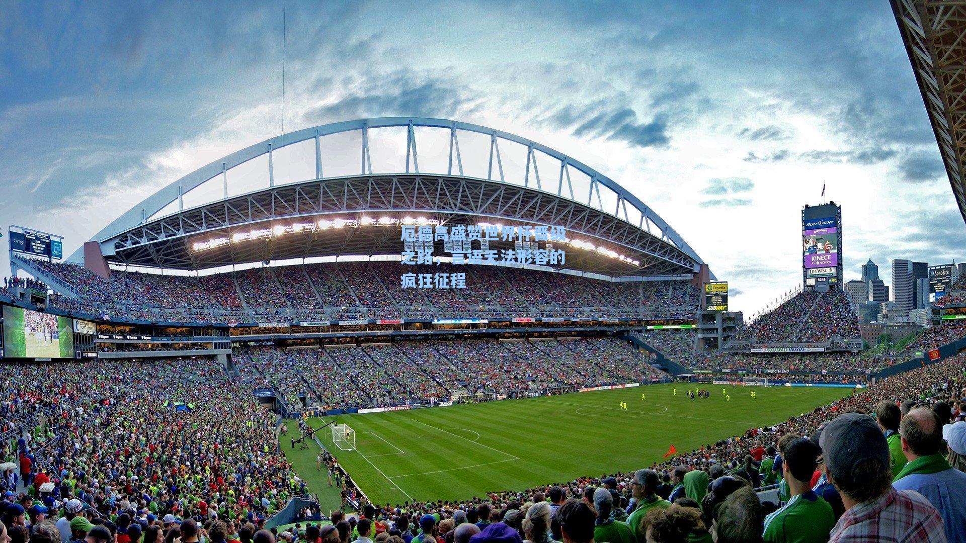 厄德高盛赞世界杯晋级之路，言语无法形容的疯狂征程